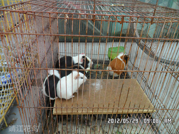 SAM_0748_副本.jpg