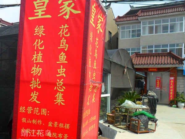 SAM_0799_副本.jpg
