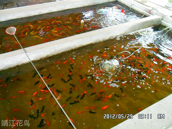 SAM_0759_副本.jpg