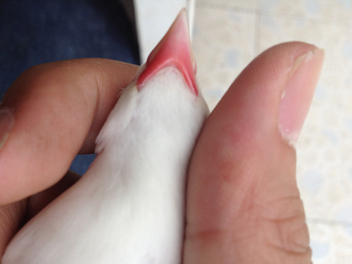 IMG_1034_副本_副本.jpg