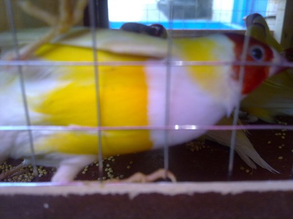 20120501548.jpg