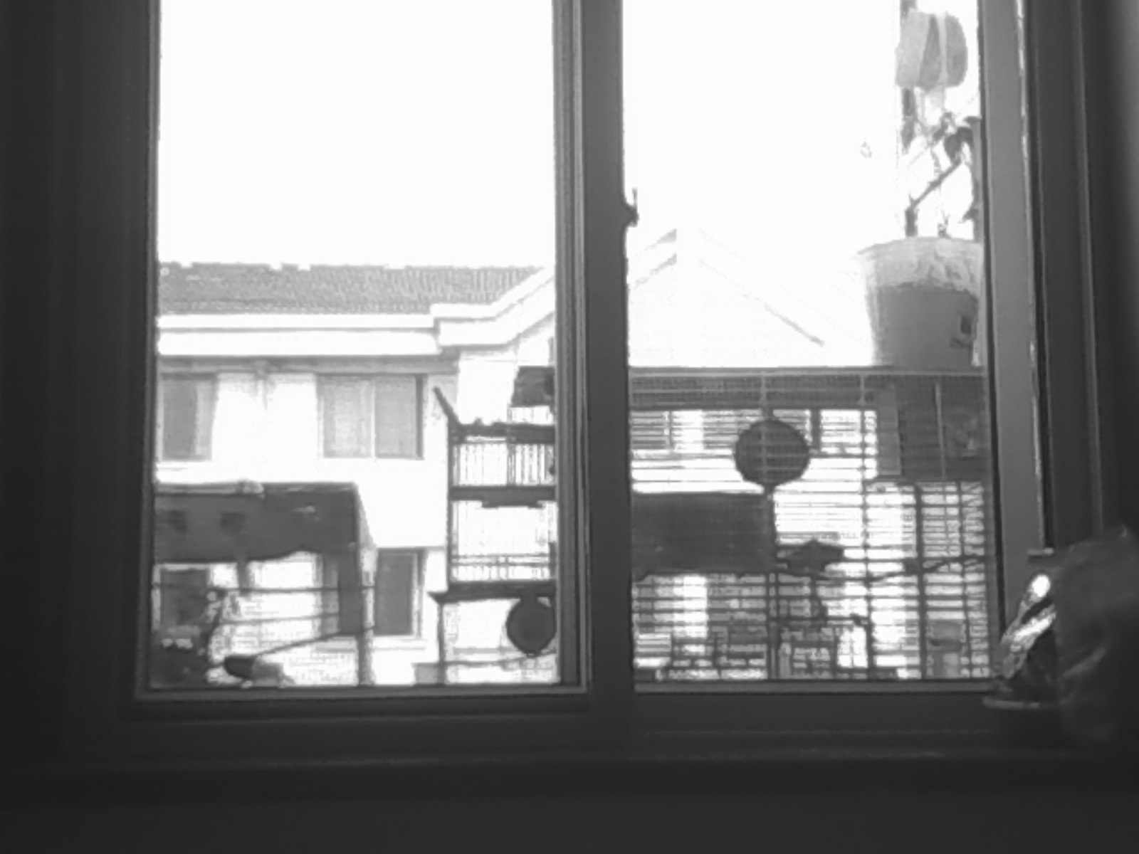 Img00016.jpg
