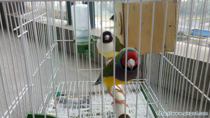 2012-04-04_12-29-07_827.jpg