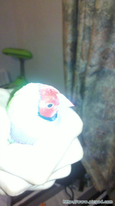 2012-05-03_18-50-21_111.jpg