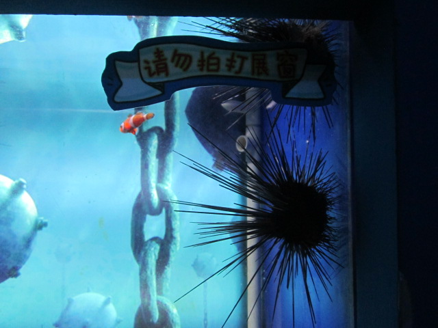 海底世界 024.jpg
