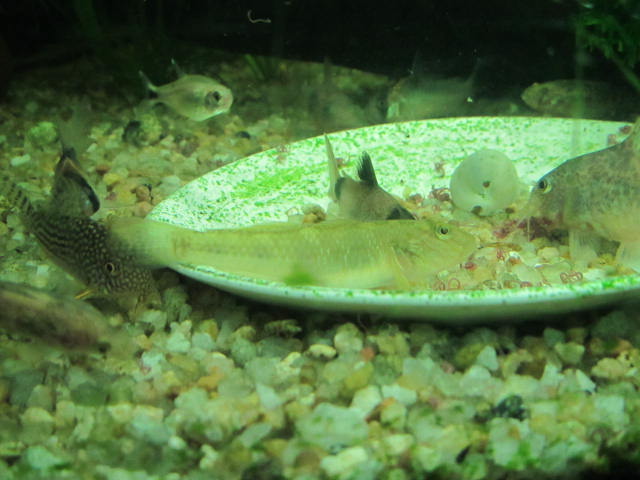 IMG_1505.JPG