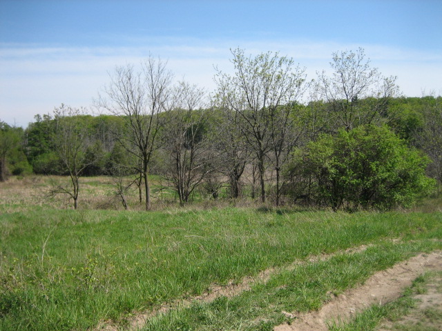 may 14,2012 002.jpg