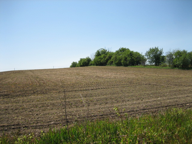 may 14,2012 001.jpg