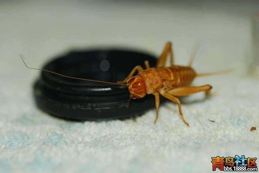 DSC_6200.JPG