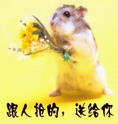 201110210831035551.jpg