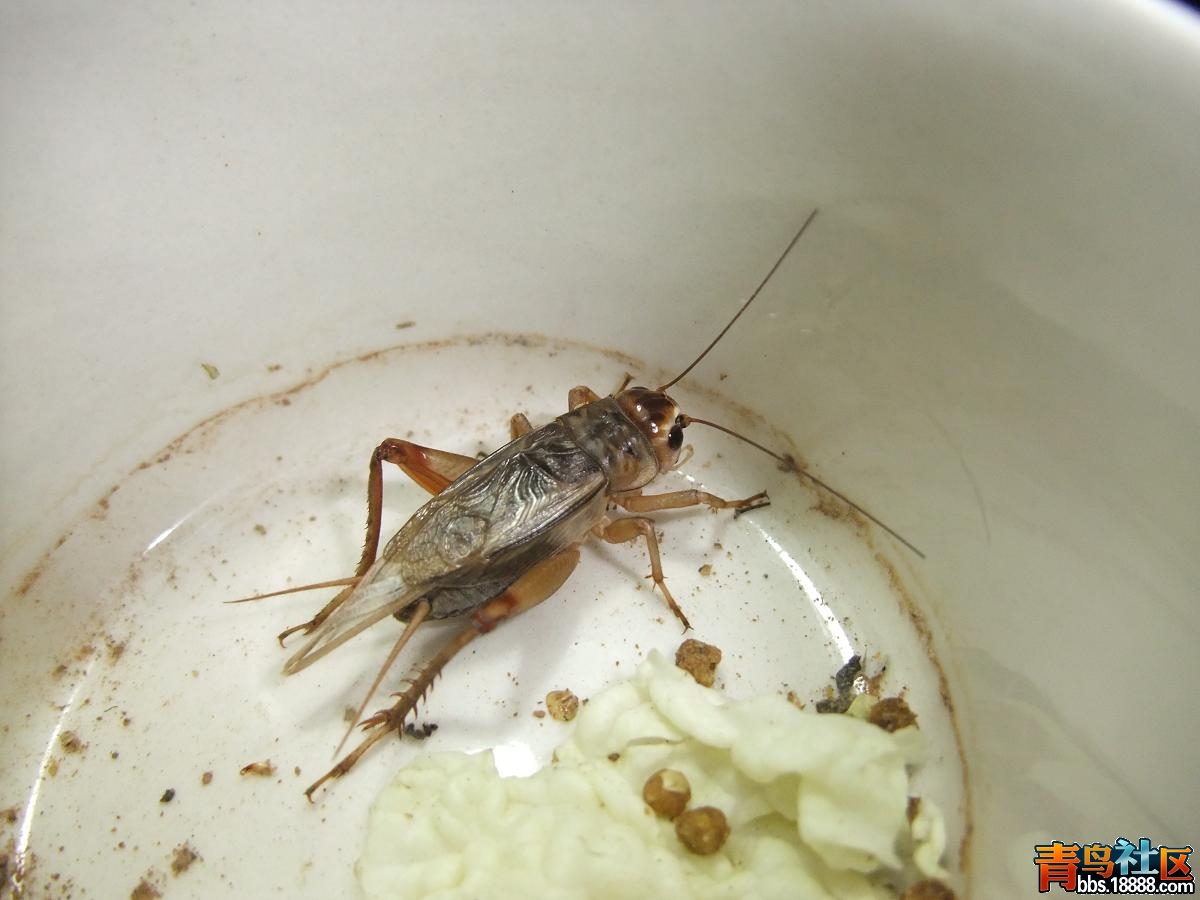 DSCF1528.JPG