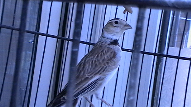 IMGA0113.JPG