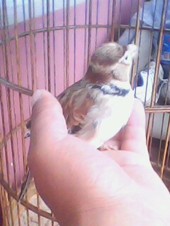 IMG0542A.jpg
