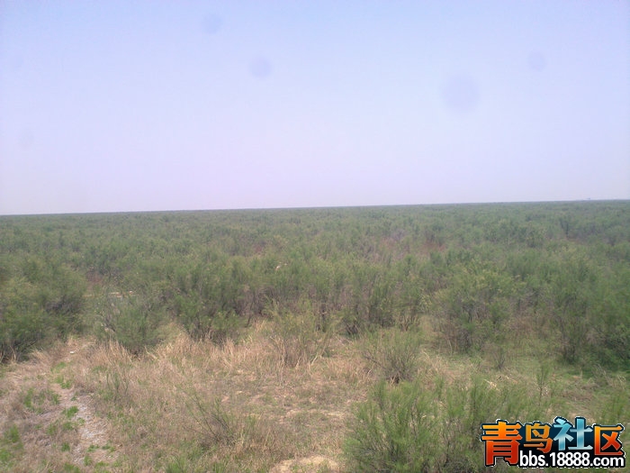 20120503358.jpg