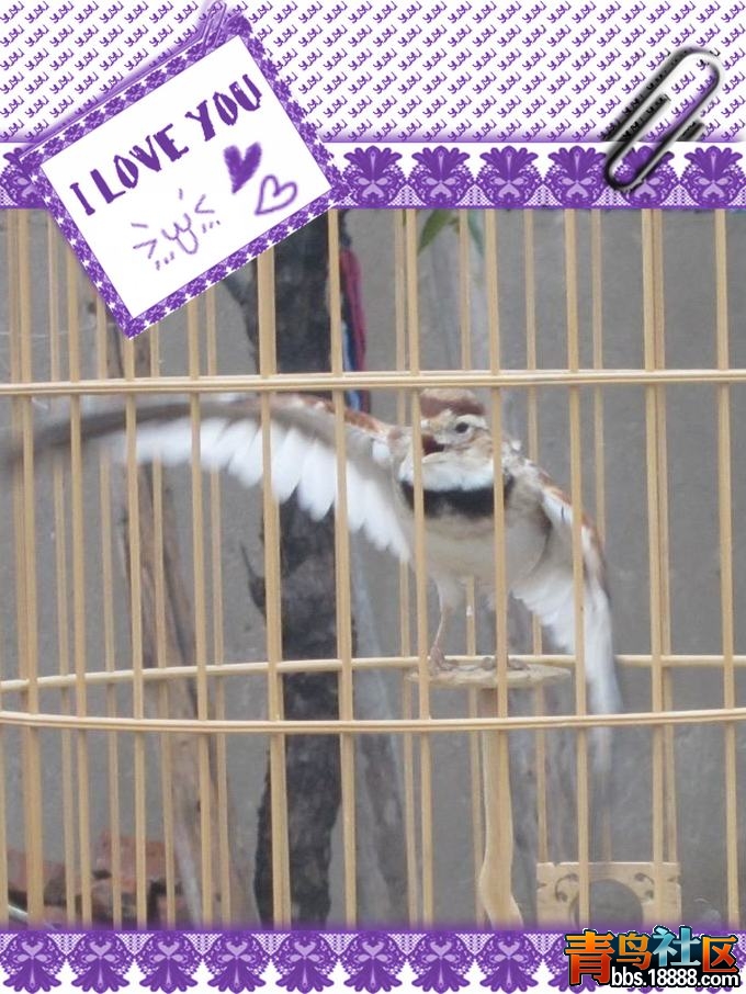 照片 133.jpg