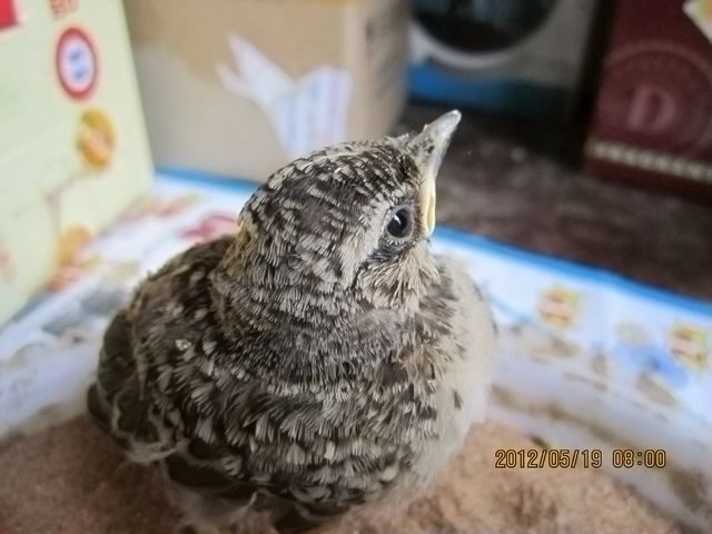 照片 834.jpg