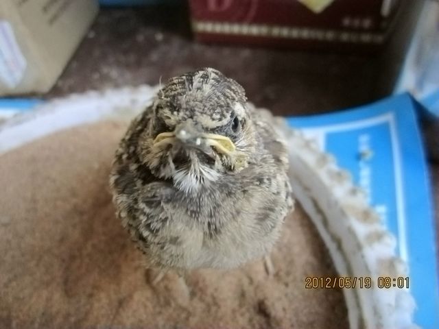 照片 837.jpg