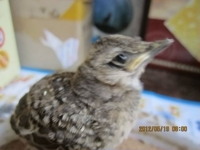 照片 836.jpg