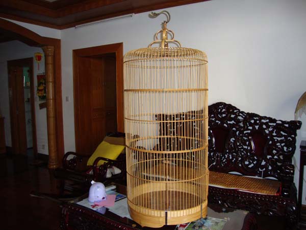 DSC04240.jpg