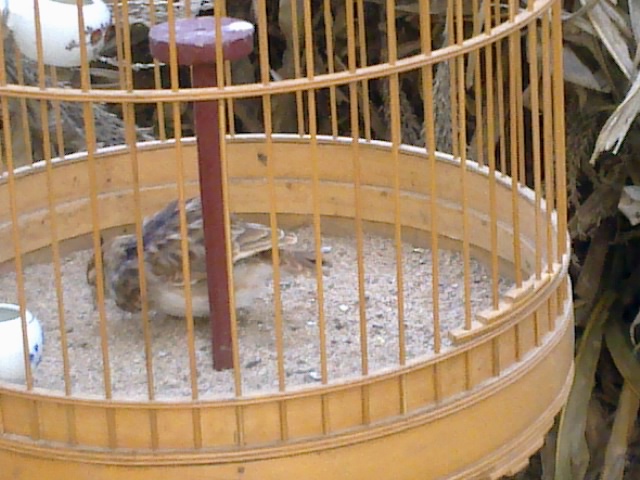 20120515493.jpg