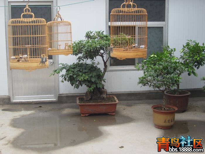 照片 145.jpg