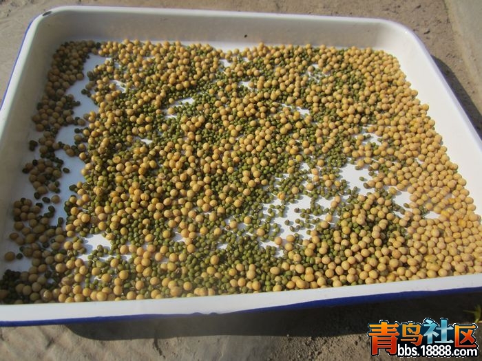 照片 177.jpg