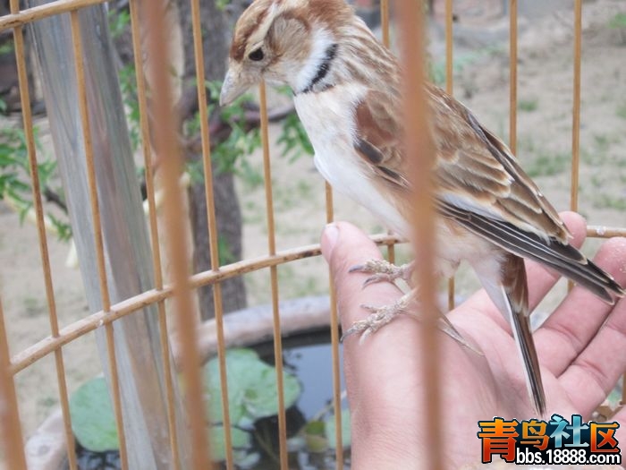 照片 140.jpg
