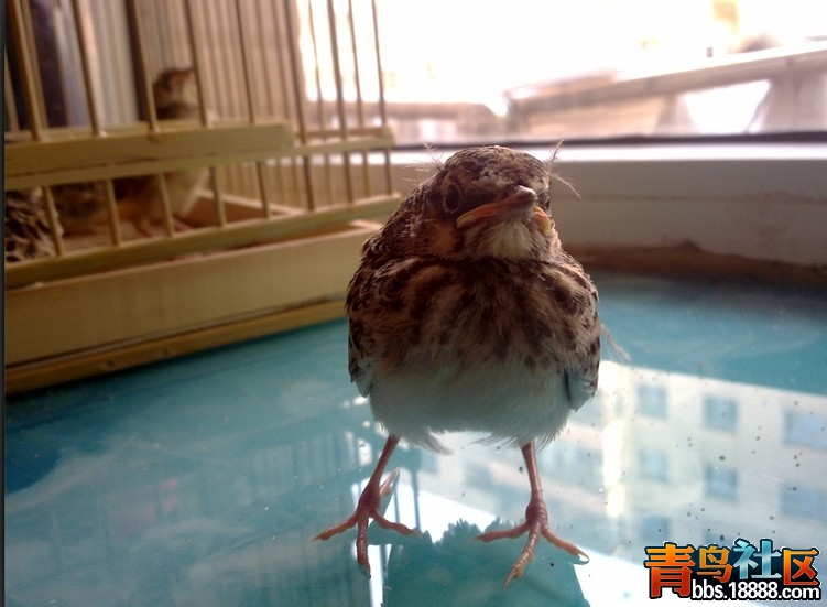 未命名8.jpg