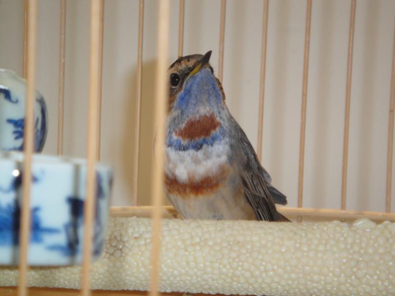 jpg02377.JPG
