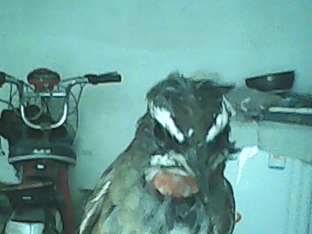 IMG0189A.jpg
