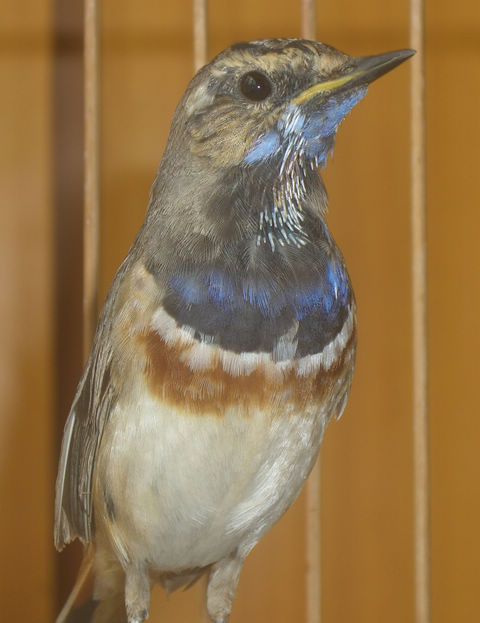 CIMG6190.JPG
