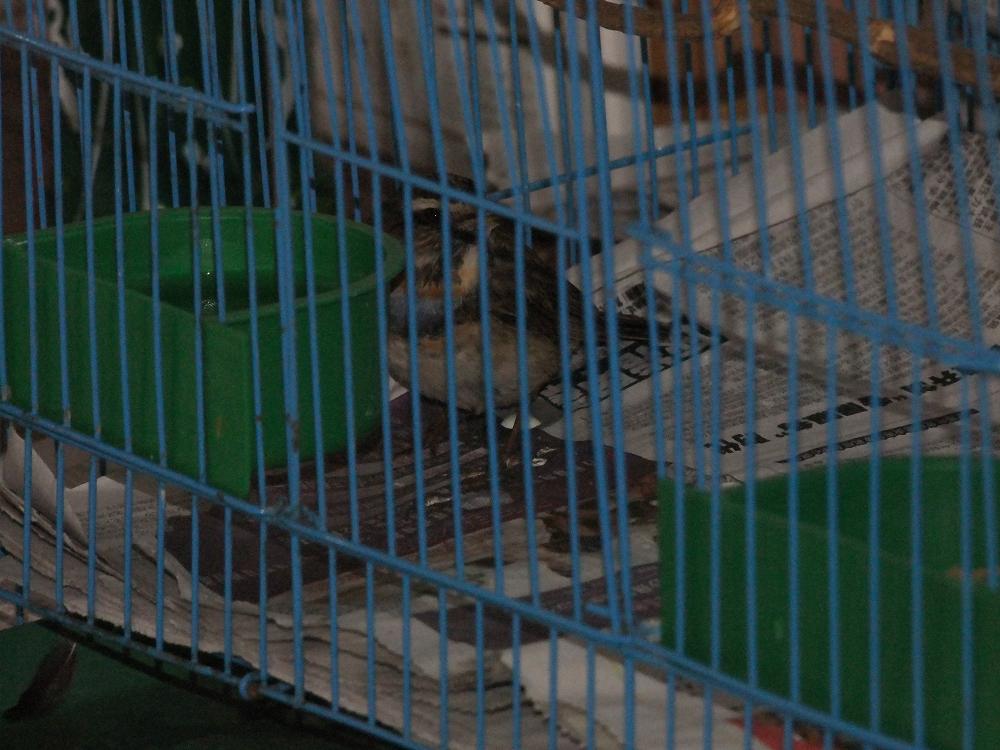 DSCF1399.JPG
