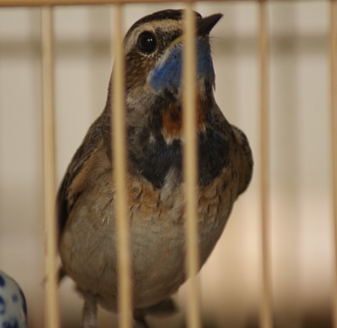 DSC09503_副本.jpg