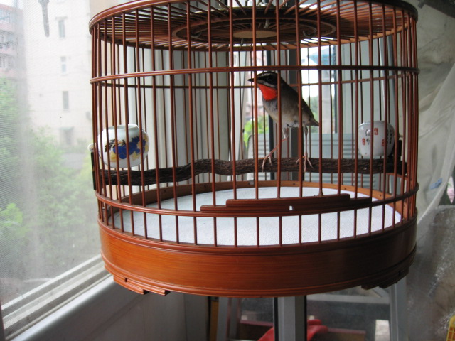 2012-05-02 037.jpg