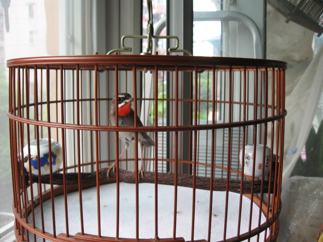 2012-05-02 045.jpg