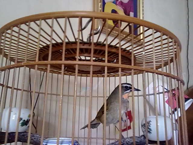 20120522183.jpg