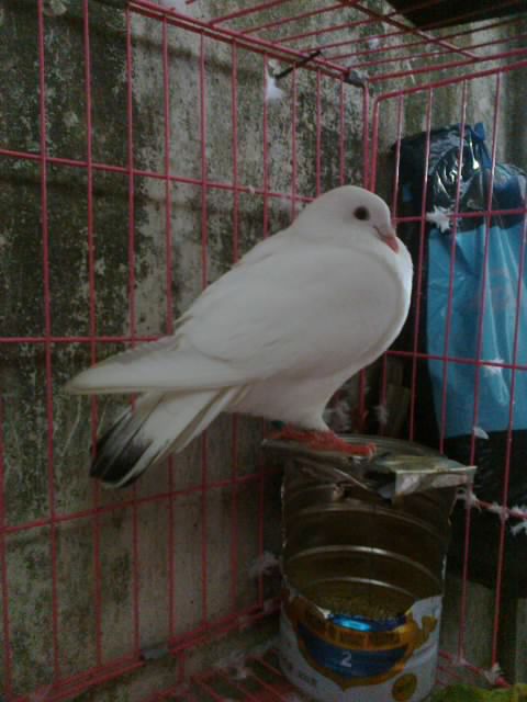20120504672.jpg