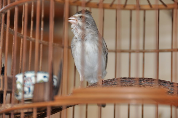 DSC_0107.jpg