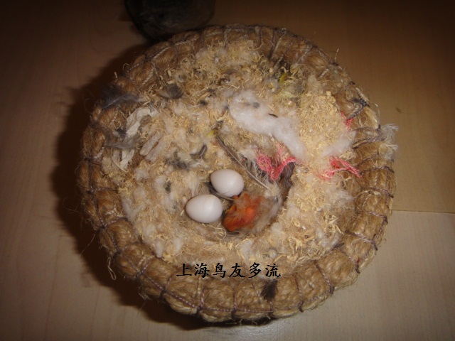 DSC00861.JPG
