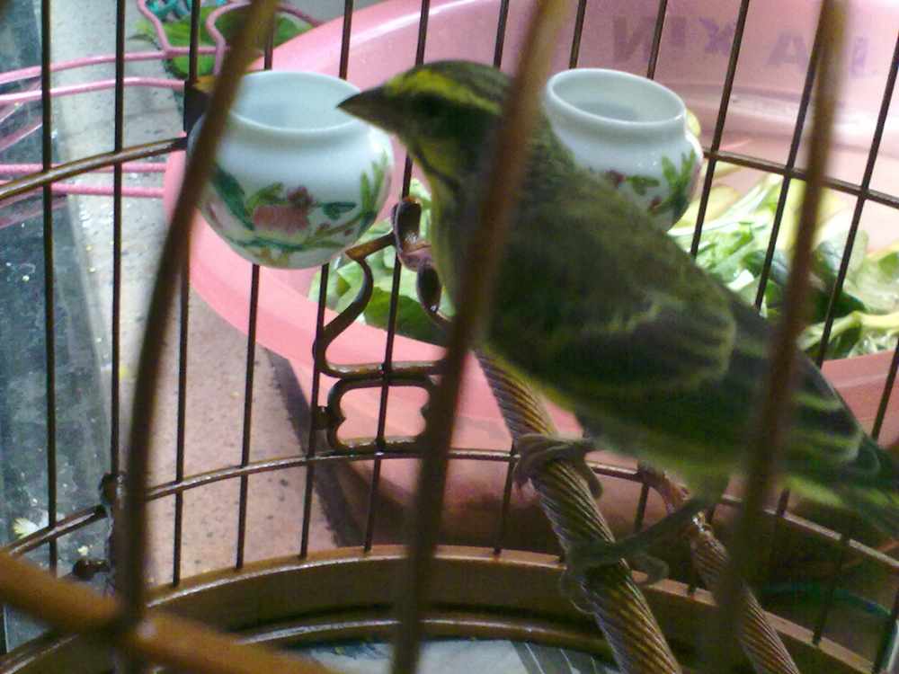 201203271218.jpg