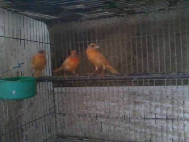2012-04-30 12.19.19.jpg