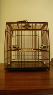 DSC05139_调整大小.JPG