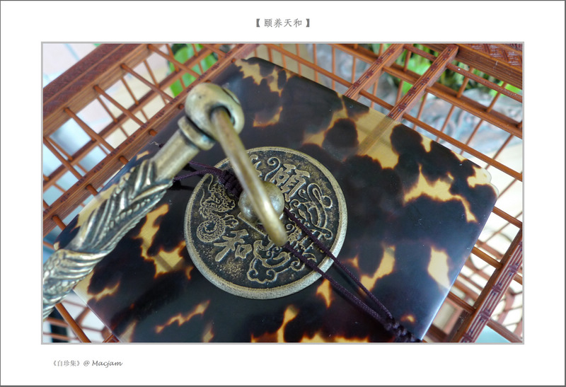 nEO_IMG_L1120337.jpg