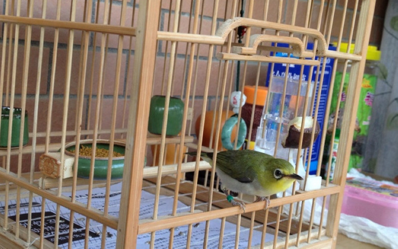 nEO_IMG_JPG_201205201734133.jpg