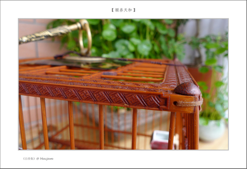 nEO_IMG_L1120326.jpg
