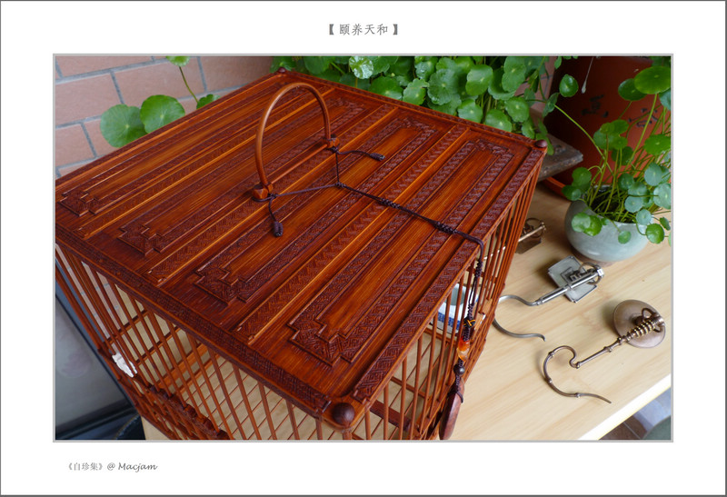 nEO_IMG_L1120348.jpg