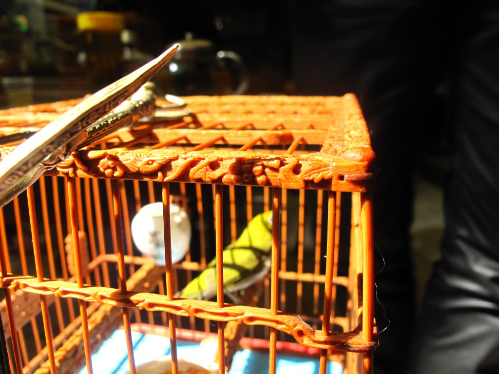 conew_img_1831.jpg