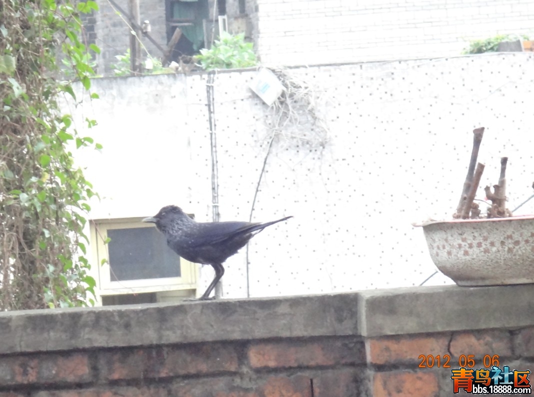 QQ截图20120506162132.jpg
