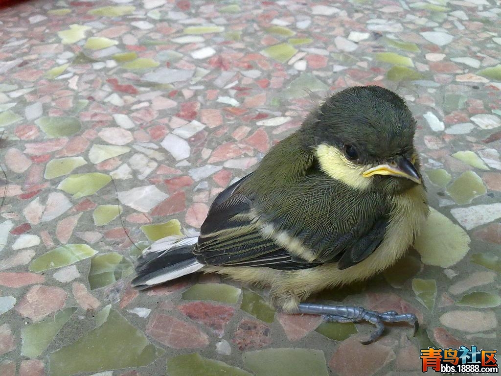 201205131004.jpg