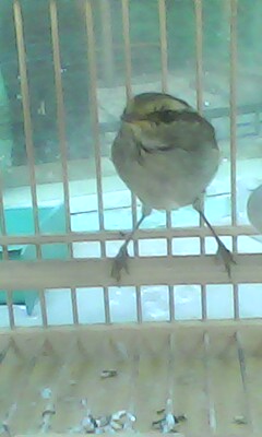 IMG0246A.jpg